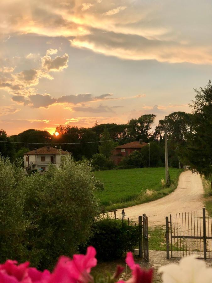 Villa Casale Viridi - Nel Fresco Delle Colline Umbre à Narni Extérieur photo